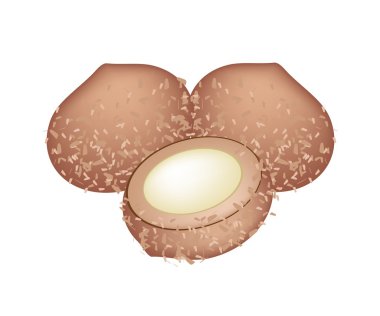 Yaş Ahmet beyaz zemin üzerine Japon Konfeksiyon