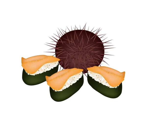 Urchin och sjöborre Sushi isolerad på vit — Stockfoto