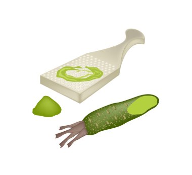 Wasabi kök veya Oroshiki rende ile Japon Horseradish