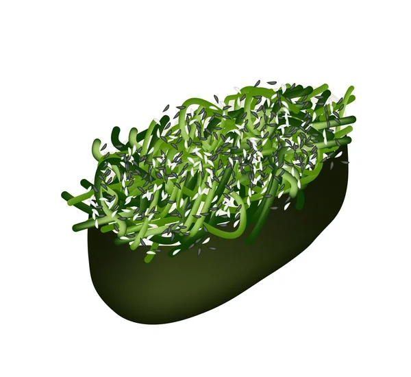 Sushi de ensalada de algas marinas o Sushi Hiyashi Wakame — Vector de stock