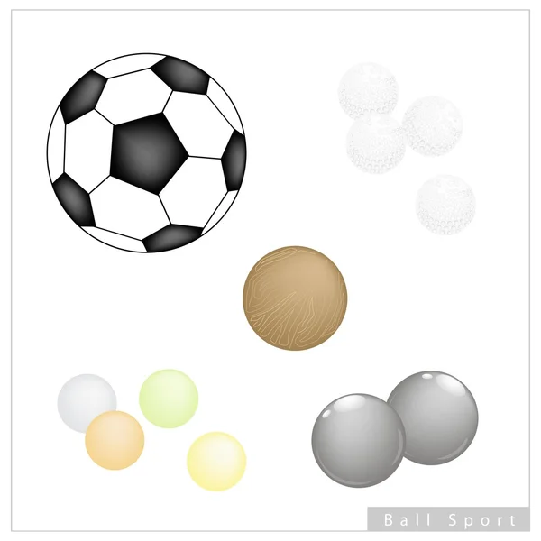 Conjunto de diferentes bolas de esporte em fundo branco — Vetor de Stock