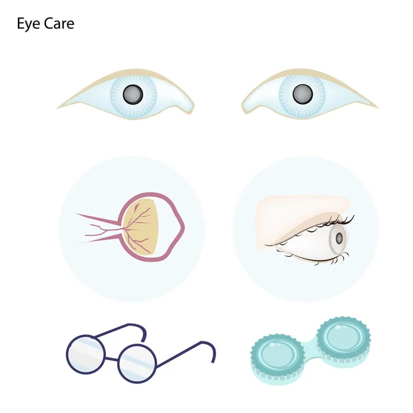 De zorg van het oog met brillen en contactlenzen — Stockvector