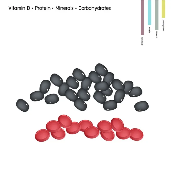 Börülce B vitamini, Protein, mineral ve karbonhidratlar — Stok Vektör