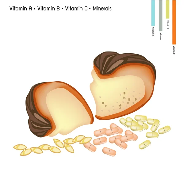 Vitamin A, B, C ve mineraller ile kabak — Stok Vektör