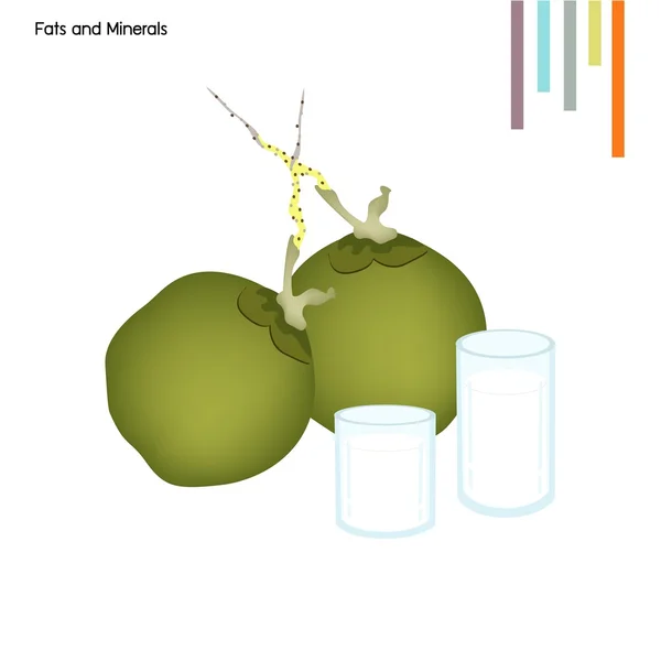 Kokosnuss mit Fetten und Mineralien auf weißem Hintergrund — Stockvektor