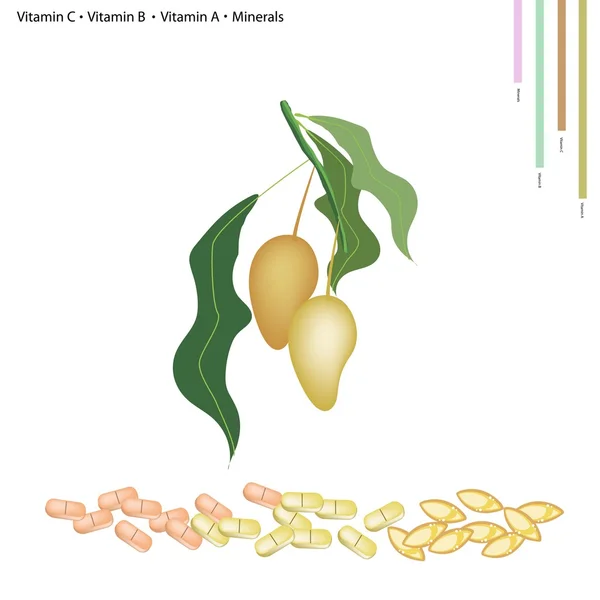 Стиглі манго з вітаміном С, В, А та мінералами — стоковий вектор