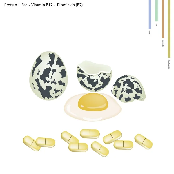 Huevos de Codorniz con Proteína, Grasa, Vitamina B12 y B2 — Vector de stock