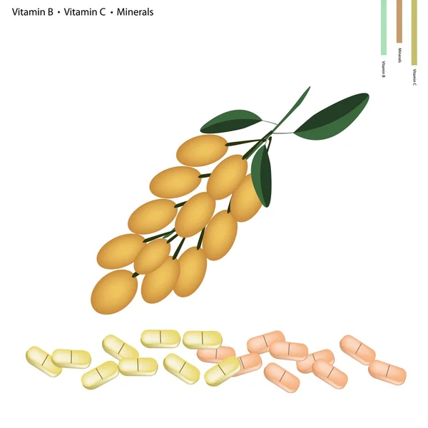 Raisin birman aux vitamines B, C et minéraux — Image vectorielle