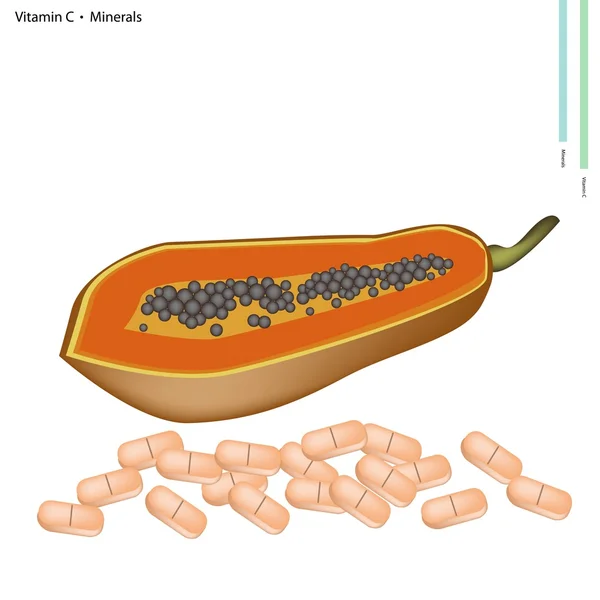 Rijp Papaya met vitamine C en mineralen — Stockvector