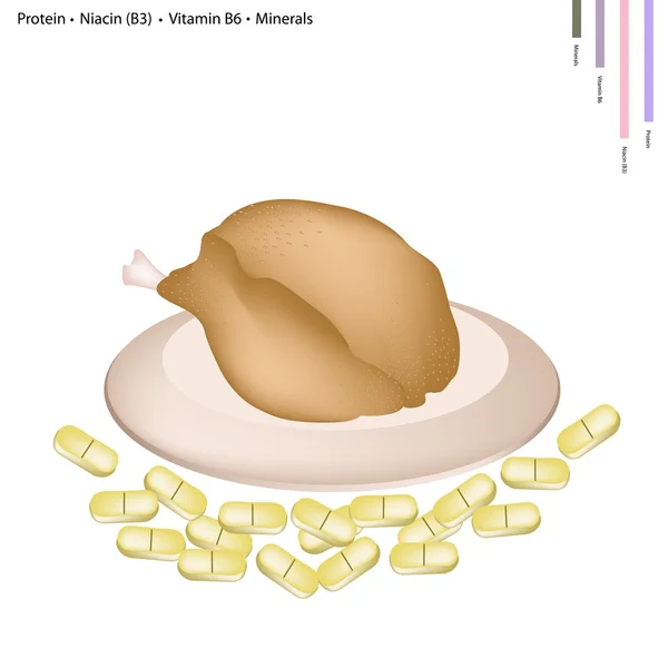 Pollo con proteínas, niacina o vitamina B3 y B6 — Archivo Imágenes Vectoriales