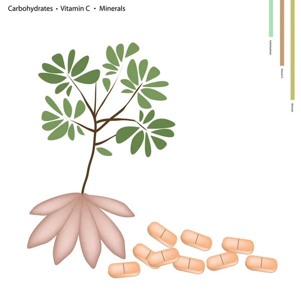 Radice di manioca con vitamina C e minerali — Vettoriale Stock