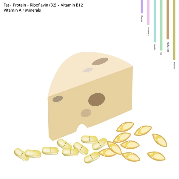 Fromage avec des matières grasses, protéines, vitamine B2, B12, A et minéraux — Image vectorielle