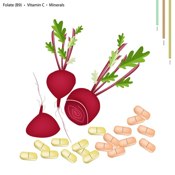 Rote Bete mit Vitamin C, B9 und Mineralstoffen — Stockvektor