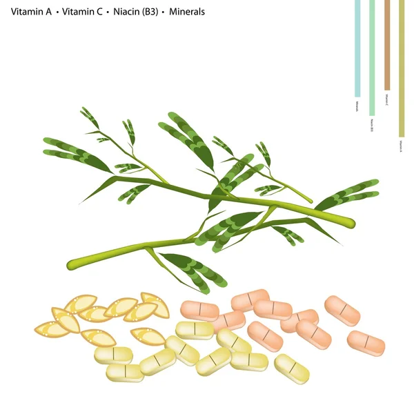 Agua Mimosa con Vitamina A, C y B3 — Archivo Imágenes Vectoriales