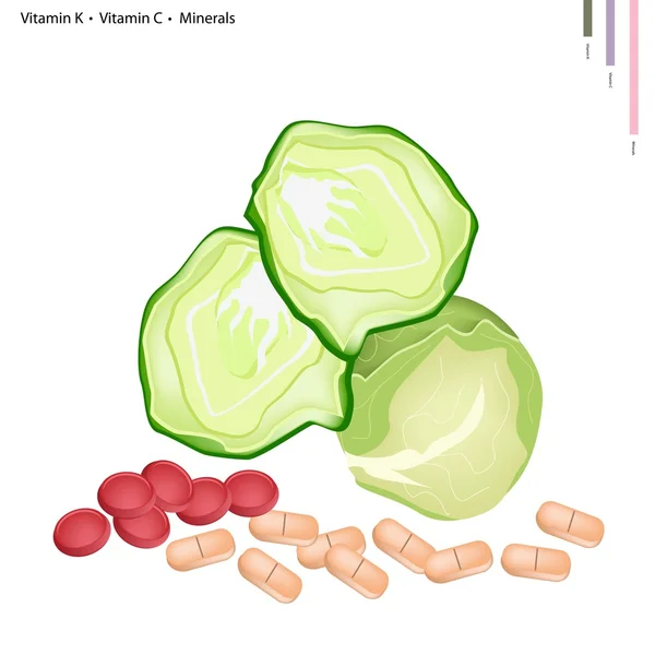 K vitamini ve C vitamini ile taze lahana — Stok Vektör