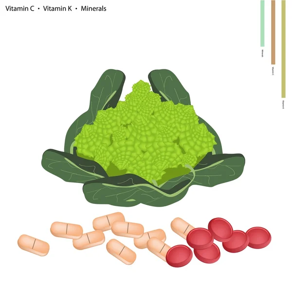 Brocoli Romanesco avec vitamine C et vitamine K — Image vectorielle
