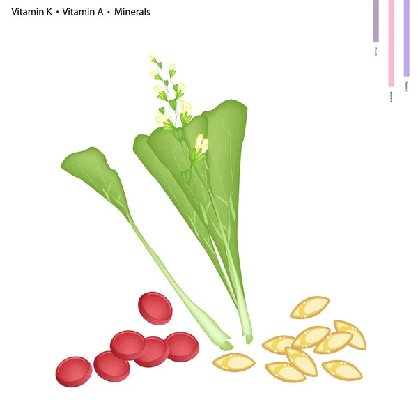 Chou chinois en fleurs avec vitamine K et vitamine A — Image vectorielle