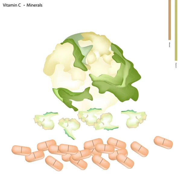 Coliflor blanca con vitamina C y minerales — Vector de stock