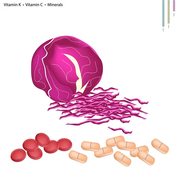 Repolho vermelho com vitamina K e vitamina C —  Vetores de Stock