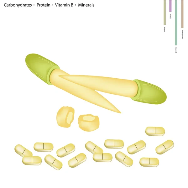 Maíz para bebés con vitamina B y minerales — Archivo Imágenes Vectoriales