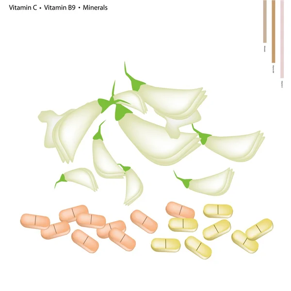 Сесбан Агаста с витаминами С и В9 — стоковый вектор