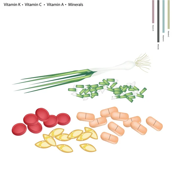 Весенний лук с витаминами К, С, А и минералами — стоковый вектор