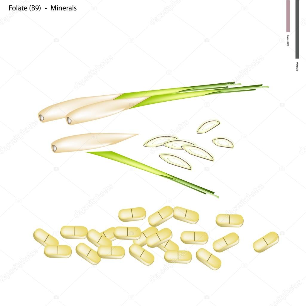 Lemon Grass with Vitamin B9 and Minerals
