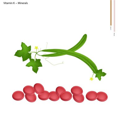 K vitamini ve mineraller ile yılan salatalık