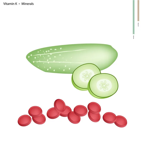 Verse komkommer met vitamine K en de mineralen — Stockvector