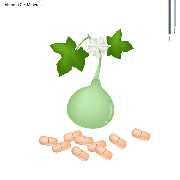 Bouteille gourde en vitamine C et minéraux — Image vectorielle