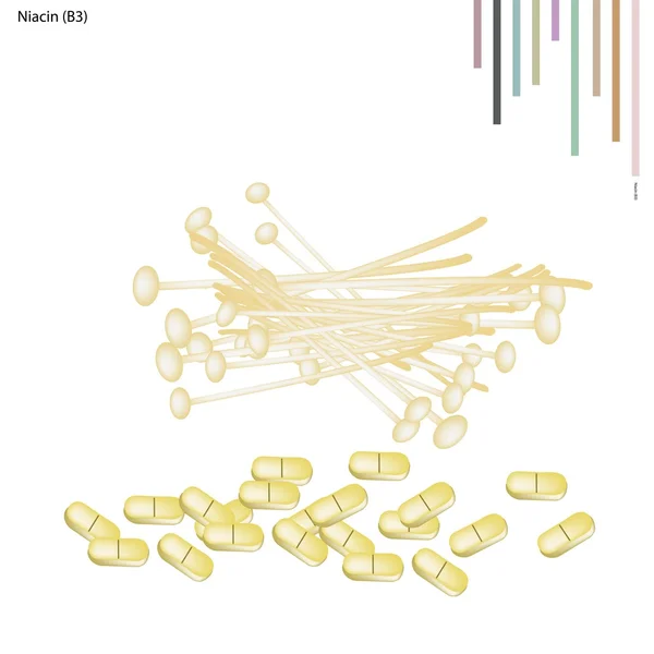 Frisches weißes Enoki mit Pilzen mit Vitamin b3 — Stockvektor