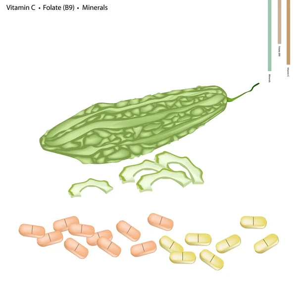 苦瓜含维生素 C、 B9 和矿物质 — 图库矢量图片