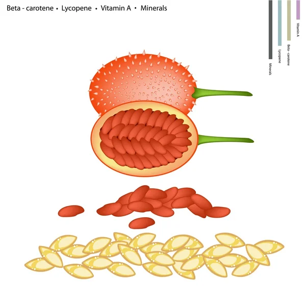 Calabazas con Vitamina A y Minerales — Vector de stock