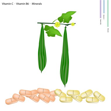 c vitamini ve b6 ridged gorud
