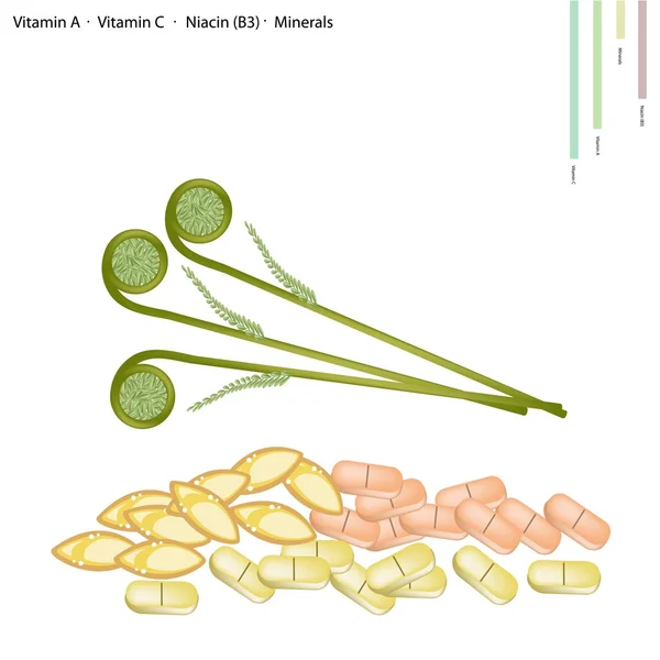 鸵鸟蕨类植物与维生素 a、 维生素 c、 维生素 b3 — 图库矢量图片