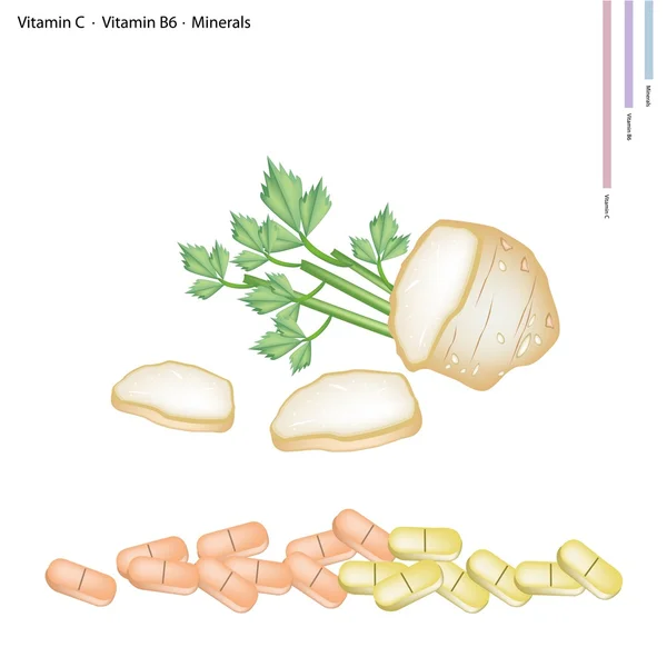 Kořeny celeru s vitaminem c, b6 a minerálních látek — Stockový vektor