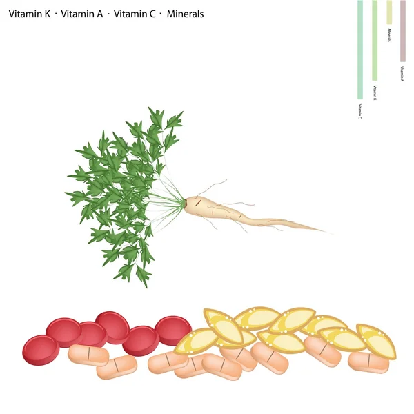 欧芹根与维生素 c、 b6 和矿物 — 图库矢量图片