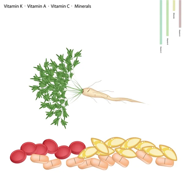 C vitamini, b6 ve mineraller ile maydanoz kökü — Stok Vektör