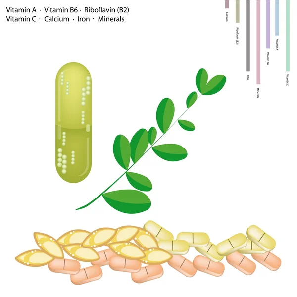 Свежие листья Моринги с витаминами А, В6, В2 и С — стоковый вектор