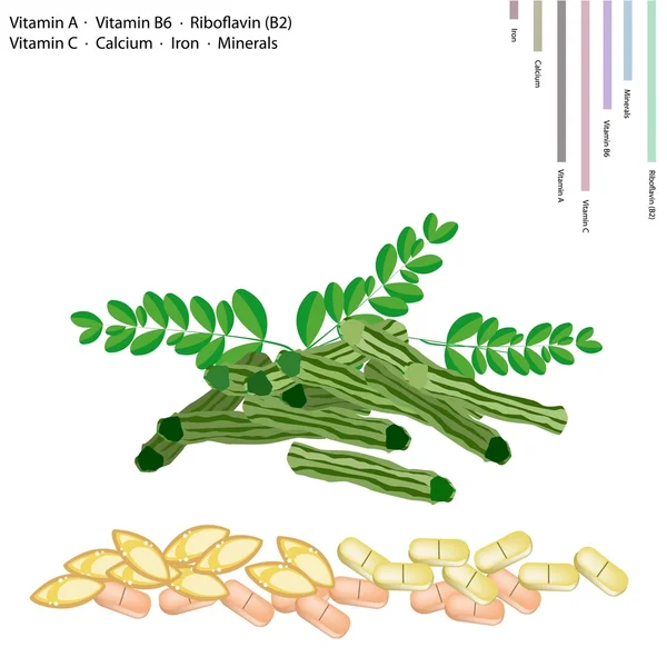 비타민 a, b6, b2, c와 moringa 포드 — 스톡 벡터