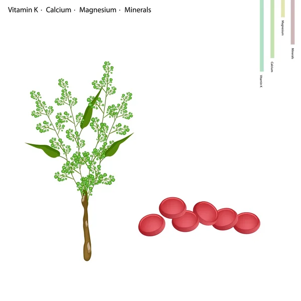 비타민 k, 칼슘 및 마그네슘 neem — 스톡 벡터