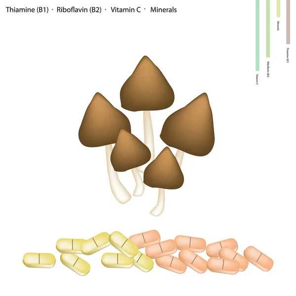 Fungo Termite con Vitamina B1 e B2 — Vettoriale Stock