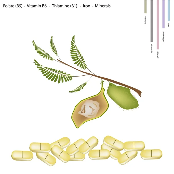 鹰嘴豆与维生素 b9、 b6 b1 和铁 — 图库矢量图片