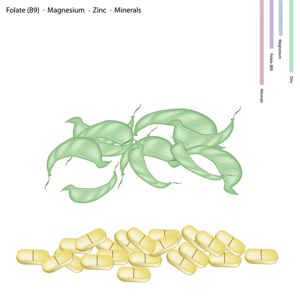 Dolichos Lablab dosettes avec vitamine B9, magnésium et zinc — Image vectorielle