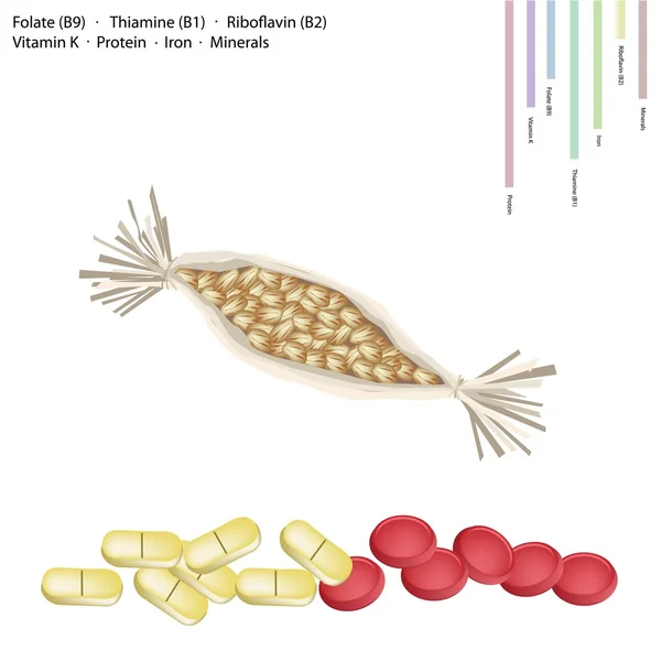 Natto z witamina b9, b1, b2 i k — Wektor stockowy