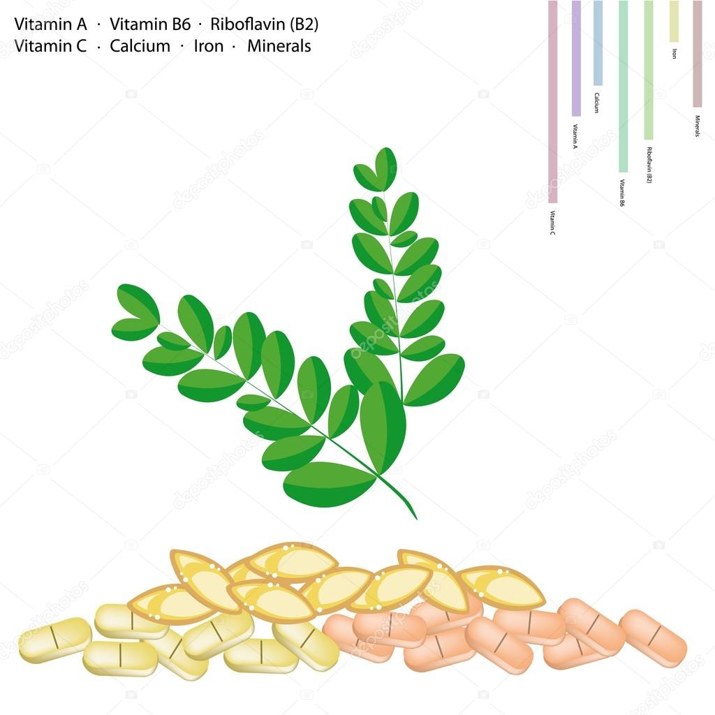 Moringa Leaves with Vitamin A, B6, B2 and C