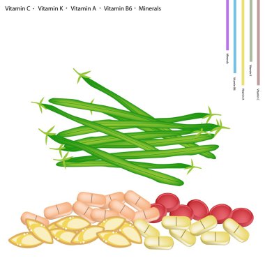 Fresh Green Beans with Vitamin C, K, A and B