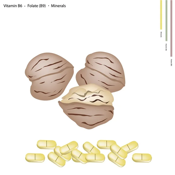 Noix avec vitamine B6, B9 et minéraux — Image vectorielle