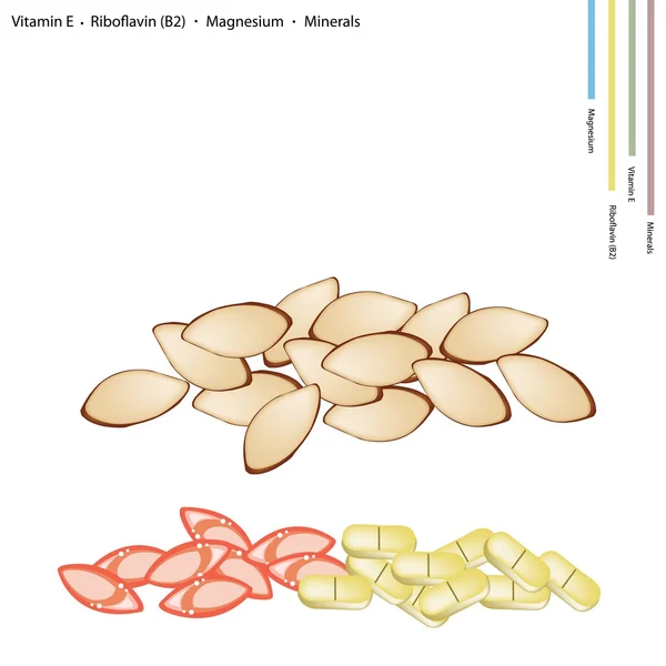 Amêndoas com vitamina E, riboflavina e minerais —  Vetores de Stock