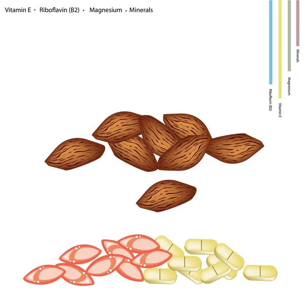 Almonds with Vitamin E, B2 and Minerals — Διανυσματικό Αρχείο